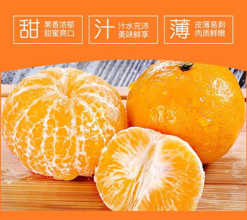 武鳴沃柑 新鮮應季的甜蜜之選，打造健康果盤新風尚