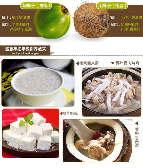海南老椰子批發 品質之選，新鮮直達