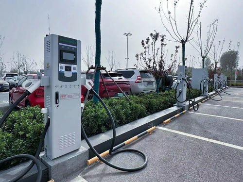 濟(jì)南機(jī)場停車服務(wù)再升級 智能化與人性化并駕齊驅(qū)